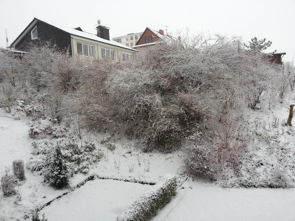 Ferienwohnung Am Paradies Bad Lauterberg Exterior foto